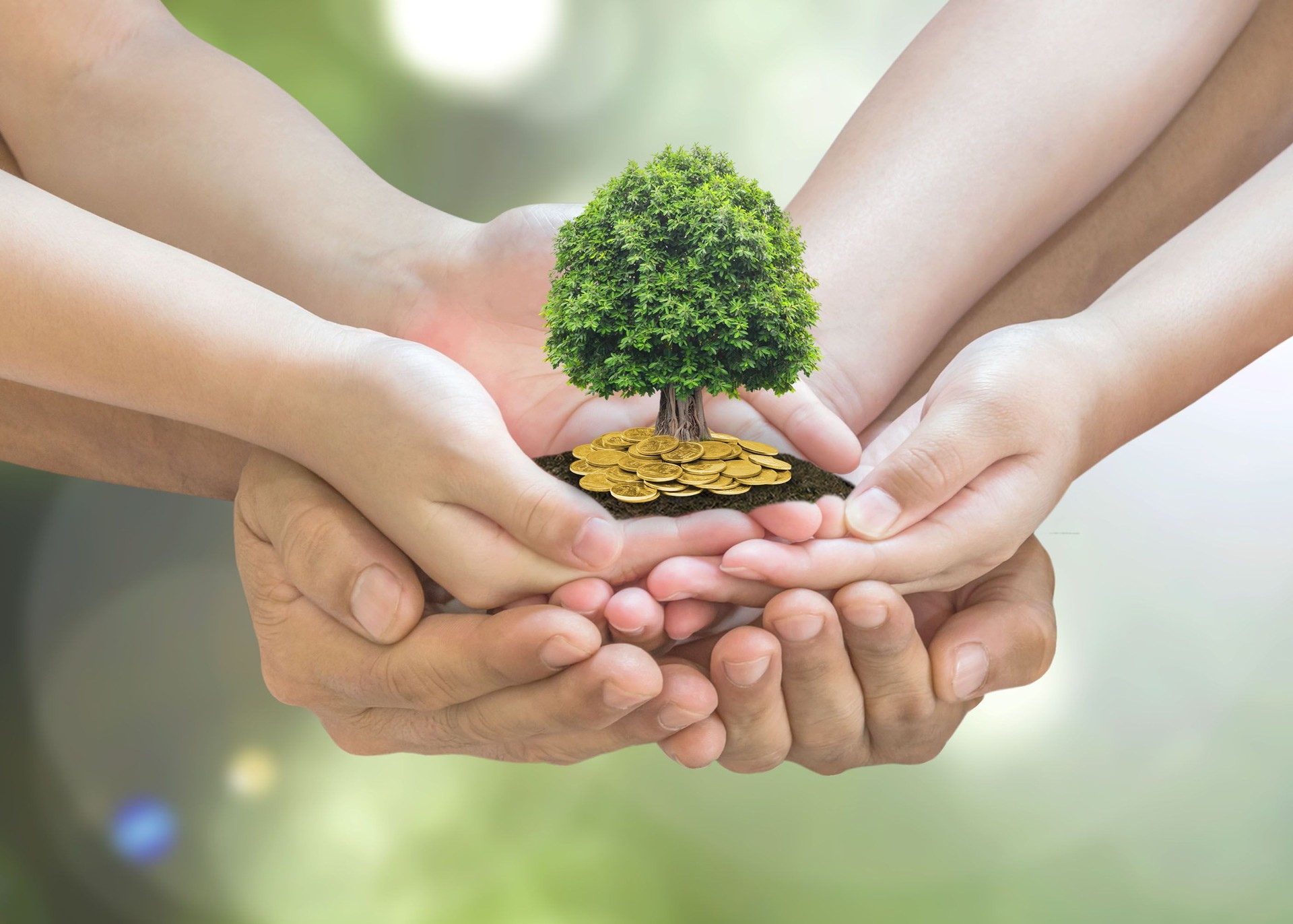 Retirement planning and family investment concept with wealthy tree growing on parent -
children's hands